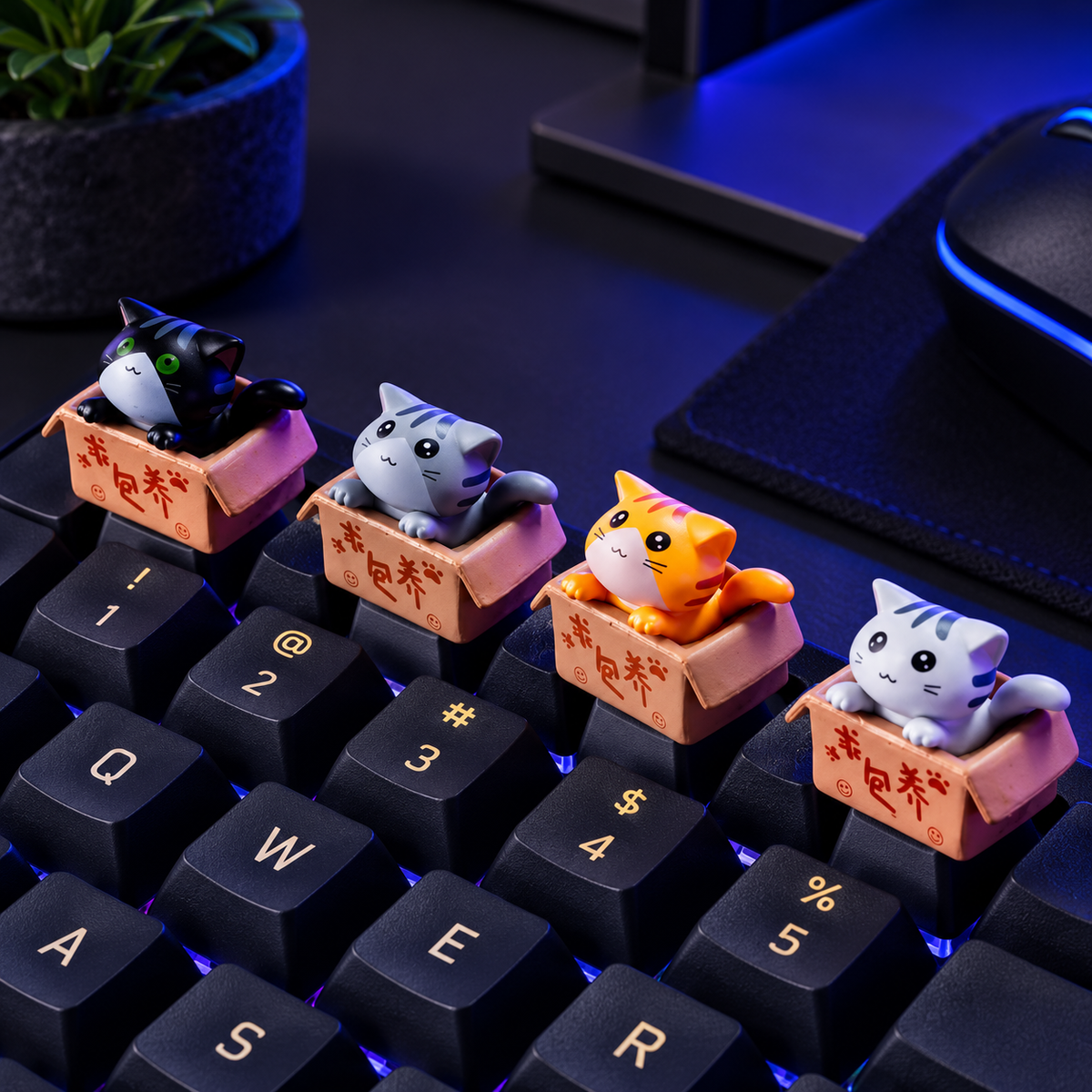 Pocket Paws — Cat-in-a-Box Keycap