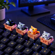 Pocket Paws — Cat-in-a-Box Keycap